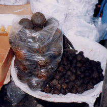 �X���̃_�E�_�E�i�R�[�g�W�{�A�[�����̓s�s�A�r�W�����̎s��ɂāj