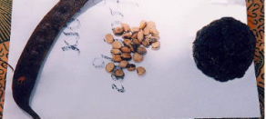 ���F�p���L�A��䰁A���F�p���L�A�̎�q�A�E�F�_�E�_�E�i�u���L�i�t�@�\�A���I��