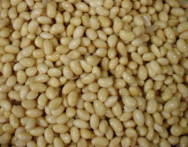 �^�}�z�}��