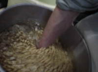 �Z������͐��ł悭�􂤁I