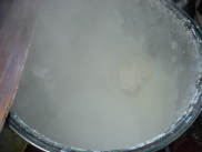 �ڂ�����@�ڂ�����