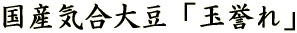 YC哤uʗ_v